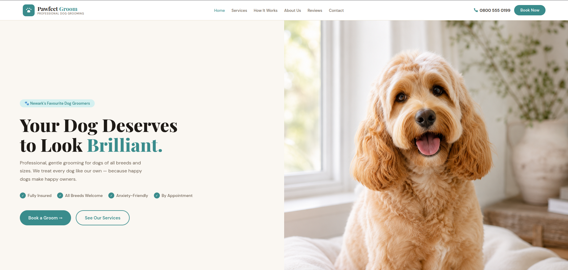 Pawfect Groom Dog Groomer preview